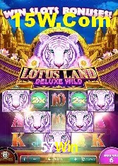 Estatísticas do Jogo 57Win
